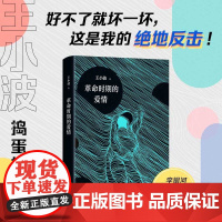 革命时期的爱情 王小波 著 小说