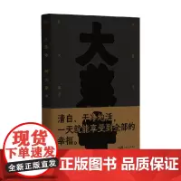 大慈寺 何大草 著 小说