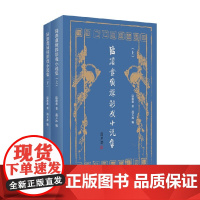 陆澹盦侦探影戏小说集 陆澹盦 著 小说