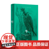 隼 海伦·麦克唐纳 著 外国文学