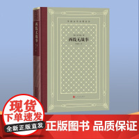 西线无战事 雷马克 著 小说