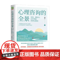 心理咨询的全景 评估 概念化和干预的实操与整合 唐芹 著 心理学