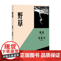 野草 赵延年插图本 鲁迅 著 散文