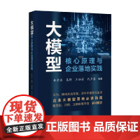 大模型核心原理与企业落地实践 林学森 著 计算机与互联网
