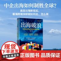 出海破浪 中国企业的全球征途与胜利策略 王勇 著 有效的出海路径 经济