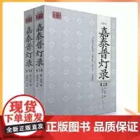 正版 点校本 嘉泰普灯录(上下册)[宋]正受/辑,朱俊红/点校 海南出版社