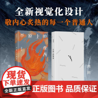 平原上的摩西 双雪涛 著 小说 余华 格非盛赞 普通人的故事 烧脑悬疑 改编电影电视剧 经典小说 李雪琴 刘昊然 时代