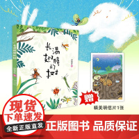 长满翅膀的树 6-9岁 邱慧芬 著 儿童文学