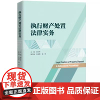 2025新书 执行财产处置法律实务 谢占林 著 中国政法大学出版社 9787576420876
