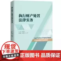 2025新书 执行财产处置法律实务 谢占林 著 中国政法大学出版社 9787576420876