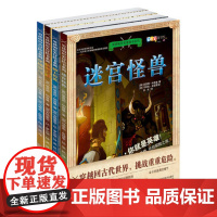 男孩的历史冒险书系列