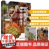 [店]肉老桩塑形出彩技艺 养活养好养花 多肉书籍盆栽培技术入门教程 花艺技术植物种植养护方法园艺多肉养殖书籍