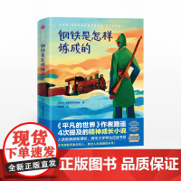 [中信出版社]钢铁是怎样炼成的 奥斯特洛夫斯基著 励志 世界名著 前苏联 外国文学 外国小说 作家榜经典文库 中信ZX