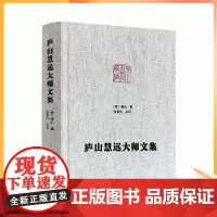 正版 庐山慧远大师文集 净土宗大师文集 大乘大义章 慧远法师传 佛菩萨赞 十八贤传 莲社十八贤图记 (晋)慧远,张景