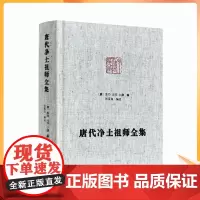 正版 唐代净土祖师全集-净土宗大师文集 佛说观无量寿佛经疏 往生礼赞偈 观念阿弥陀佛相海三昧功德法门 临终正念诀 善