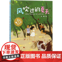 风吹过的夏天 河北少年儿童出版社 杜梅 著 著