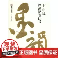 王正良解密硬笔行书 湖北美术出版社 王正良 著