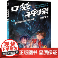口袋神探 12 福尔摩斯的闪电之夜 山东画报出版社 凯叔 著