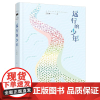 远行的少年 接力出版社 王欣婷著 著