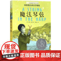 魔法琴弦 晨光出版社 (美)南茜·邦德(Nancy Bond) 著;黄德远 译 著