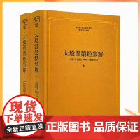 正版 大般涅槃经集解 上下册 佛教十三经注疏 (南宋)道生 等撰 楼宇烈主编 线装书局
