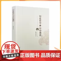 正版 印度哲学与中印佛教 姚卫群 著 宗教文化出版社 印度哲学核心理念 印度佛教重要思想 中国佛教与印度佛教的关联