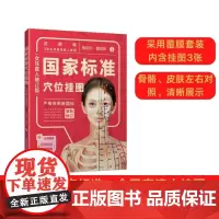 [店]国家标准穴位挂图(女性真人修订版) 中医中药