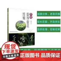 [店]兰花促芽促花经验 农业 园艺 兰花种植