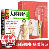 [2册]图解人体经络使用手册+经络穴位古今对照挂图(精装典藏版) 图解多种经脉疏通方法正版书籍
