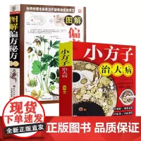 [2册] 小方子治大病+图解偏方秘方大全 书籍