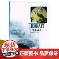 国画入门工笔花鸟画法 绘画入门系列丛书中国画工笔白描花鸟入门教程正统工笔花鸟技法 绘画步骤图技巧解析临摹范本教材书籍