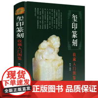 [精装]玺印篆刻收藏入门图鉴 鉴宝丛书古玺印图典玺印篆刻收藏图鉴玺印印章玺印文字中国玺印考古收藏鉴赏图鉴书法篆刻书籍