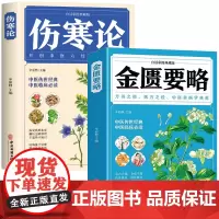 [2册]金匮要略+伤寒论(白话彩图典藏版)书籍