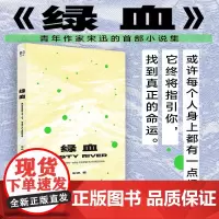 绿血 宋迅著 小说集故事文学中短篇小说集 中国现代当代小说书 悬疑推理文学小说 从都市当代年轻人的视角回溯近百年社会巨变