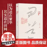 出版社自营]问道江南西 阿痴著 中国当代长篇小说 现代人活着生命的意义故事书籍正版人生呐喊彷徨短篇小说集故事新编文学作品