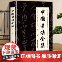 中国书法全集(彩图版)中国书法大全一本通从入门到精通书法通识书法理论书法体系书法史简史发展史书法艺术初学入门书法临摹书籍