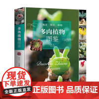 多肉植物图鉴(观赏·辨识·种植)常见多肉多浆植物园艺图集零基础养多肉这样养养护完全图鉴书籍