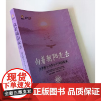 向着朝阳走去—清华附小合作办学实践探索 教师用书 教师成长 名师怎样做教育教育美文集