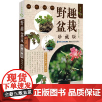 野趣盆栽(珍藏版)盆栽技巧方法盆栽花园书籍