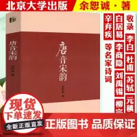 唐音宋韵 名家解读唐宋诗词诗词鉴赏书籍