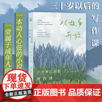 三十岁以后的写作课:从故乡开始 动人心弦的小说集 指引读者走上一段发现自我、疗愈自我的路径 创意写作 何大草写作工坊 写