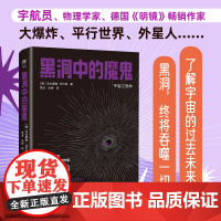 宇航员说宇宙:黑洞中的魔鬼 宇宙之宿命,读懂宇宙史,解开黑洞谜,德国《明镜》周刊作家 广东人民出版社
