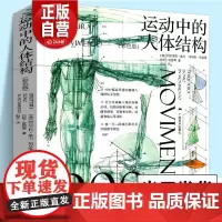 运动中的人体结构 彩色版 威尼斯美术学院 人体躯干骨骼结构绘画教学手绘画图赏析 骨骼解剖艺术素描动人物素描临摹基础技法书