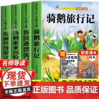 鲁滨逊漂流记六年级下册必读的课外书快乐读书吧全套鲁滨孙冰逊漂流记汤姆索亚历险记尼尔斯骑鹅旅行记爱丽丝漫游奇境记原著