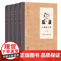 王晓波文集(四卷套装)商务印书馆