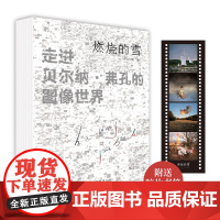燃烧的雪:走进贝尔纳·弗孔的图像世界 赵欣昕著书籍
