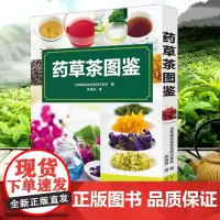[3本49]药草茶图鉴 四季养生调理食疗古方中的茶疗方本草纲目药茶养生速查全书书籍