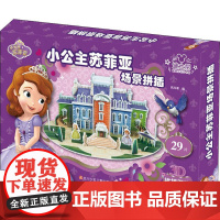 小公主苏菲亚场景拼插 四川少年儿童出版社 高海潮 著 高海潮 编