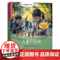 儿童的智商:奠定理解和能力的基石 儿童发展的基石丛书 [英]帕梅拉·梅 著 张珊珊 于增艳 译 商务印书馆