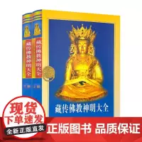 神明大全 藏传佛学神明大全藏传佛教神明大全 上下部 曲甘完玛多杰译青海民族出版社佛学经典书籍入门套装书基础知识书籍